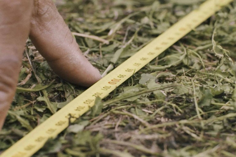 Žlutý svinovací metr leží na trávě