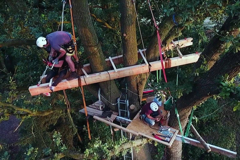 Stavba domku na stromě se stromovými materiály a dvěma lidmi v koruně stromu