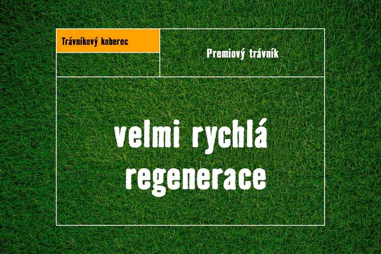 Grafika s trávníkem a textem velmi rychlá regenerace