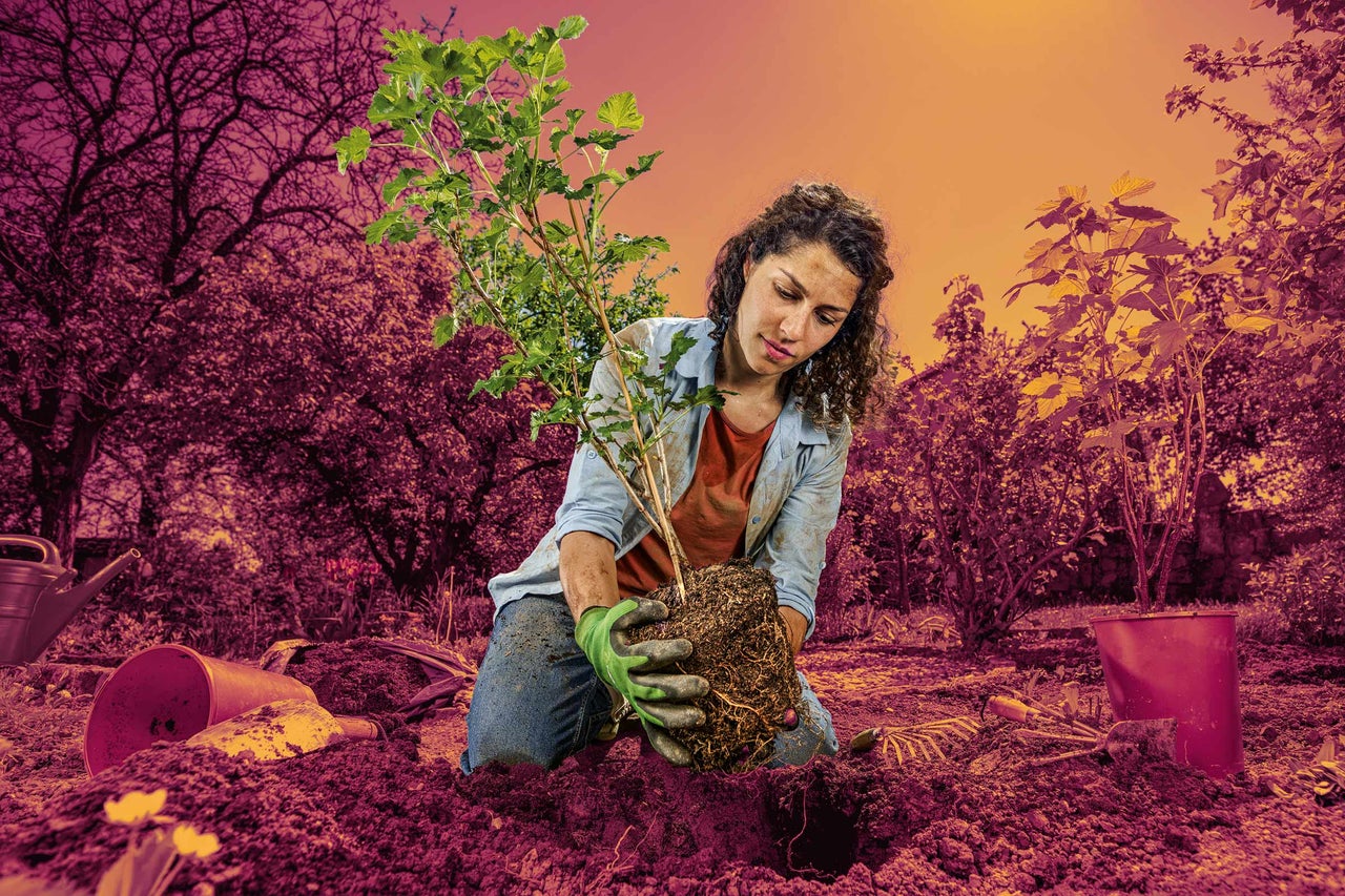 Žena sází mladý strom s kořenovým balem na zahradě. Kolem ní je zahradní nářadí a květináče.