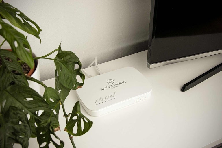 Chytrá domácí centrála s rostlinou na stole