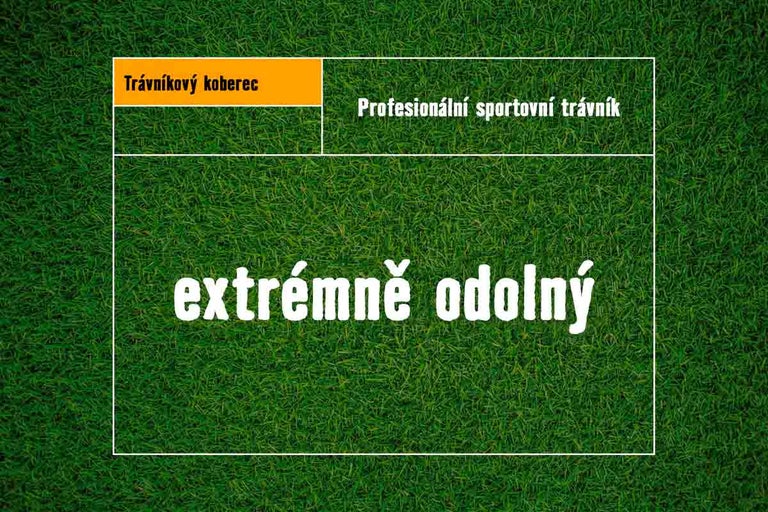 Trávníkový koberec pro profesionální sportovní využití, extrémně odolný