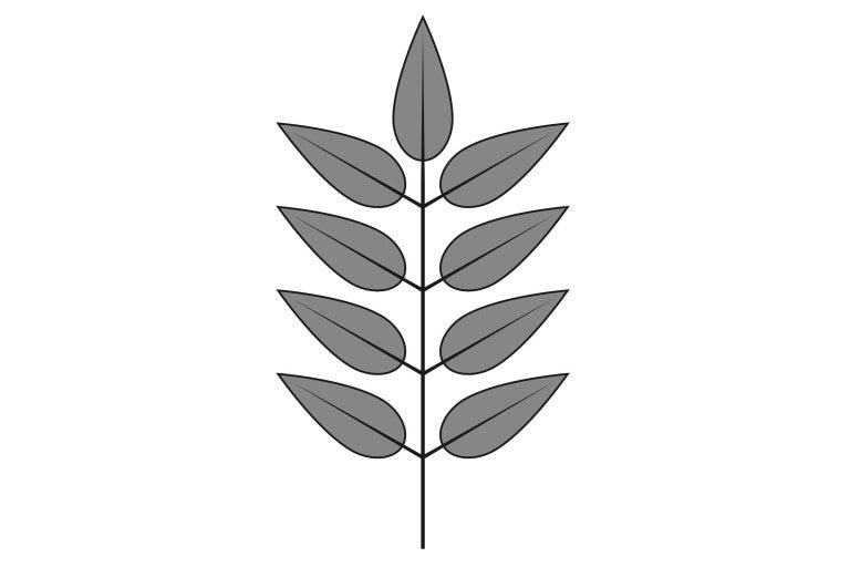 List s několika listy