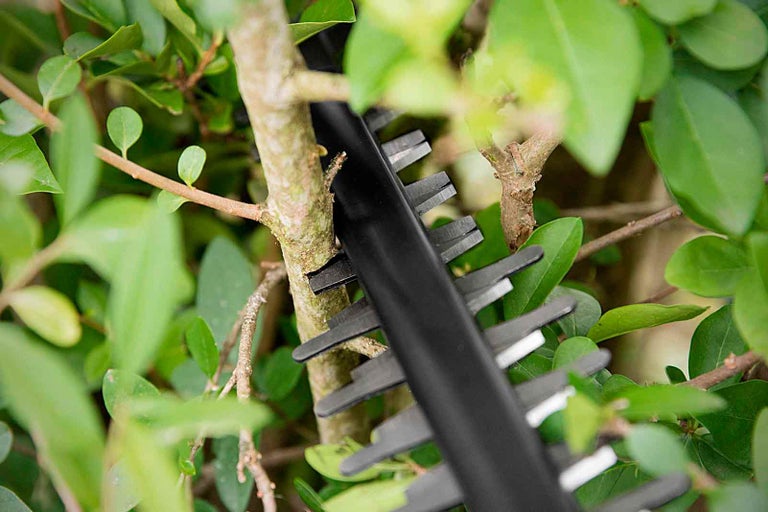 Nůžky na živý plot v provozu na živém plotě