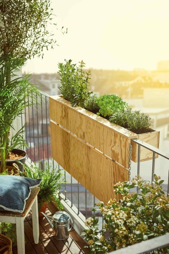 Balkónová scéna s dřevěným truhlíkem s různými bylinkami a rostlinami