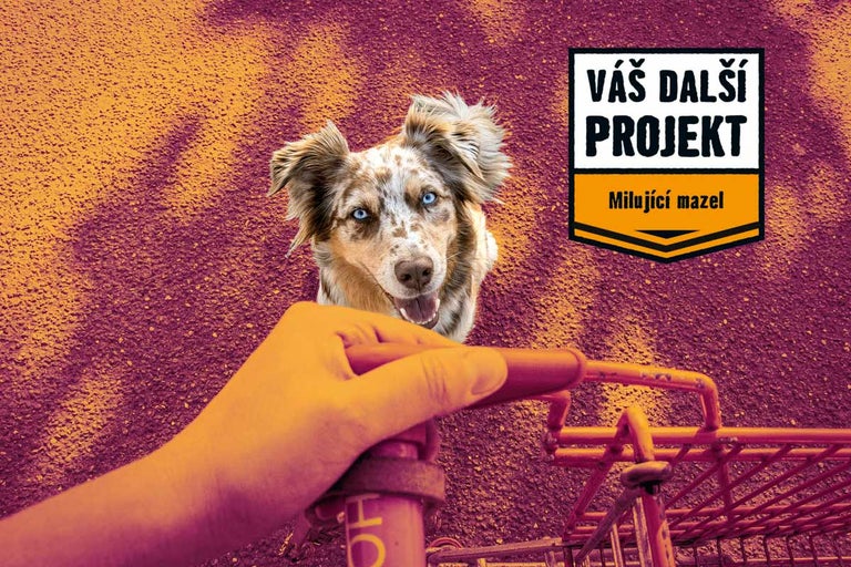 Pes se dívá přes nákupní vozík do kamery, vedle je text: Váš další projekt, milující mazel