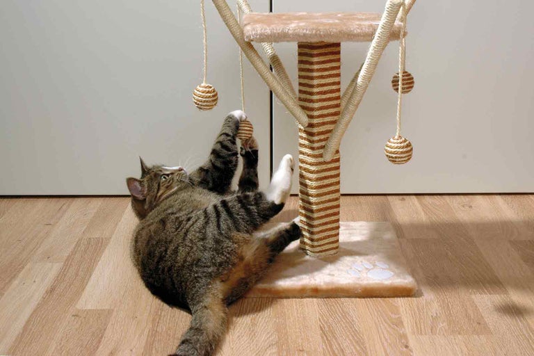 Kočka si hraje s škrabadlem s hračkami