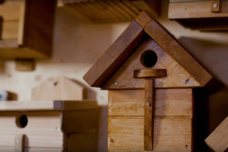 Dřevěná ptačí budka s vletovým otvorem