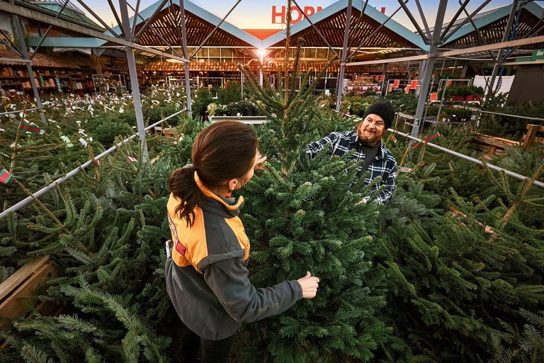 Jak se starat o živý vánoční stromek