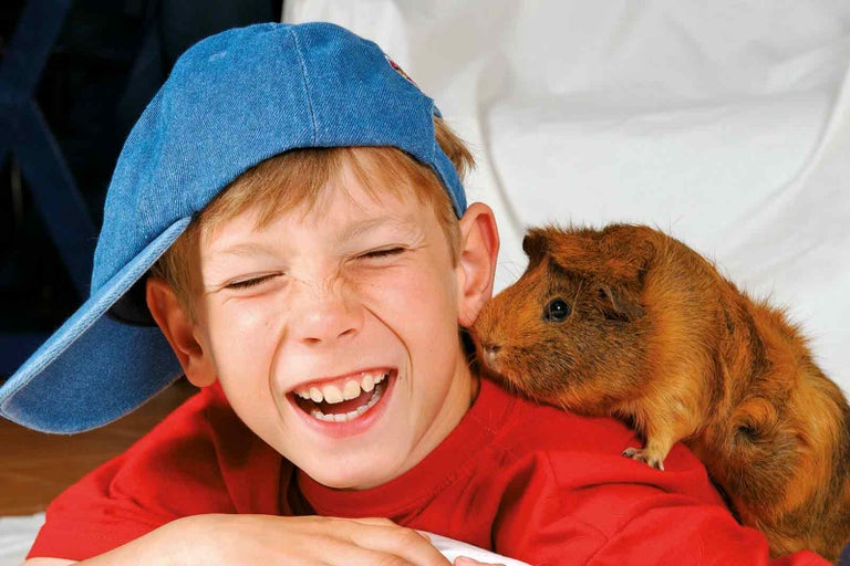 Pořizujete si hlodavce? Podívejte, co vše budete potřebovat