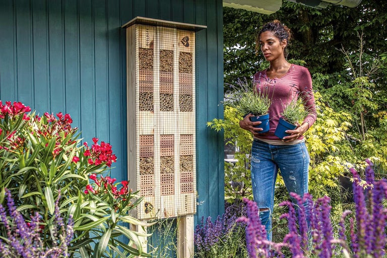 Jak vytvořit zahradu pro včely