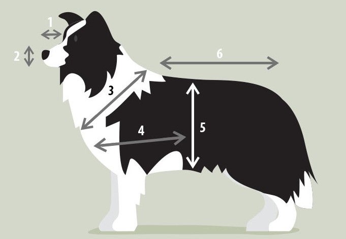 Ilustrace psa s rozměry