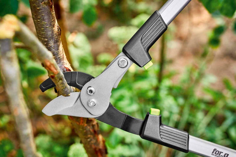 Nůžky na větve stříhají větev