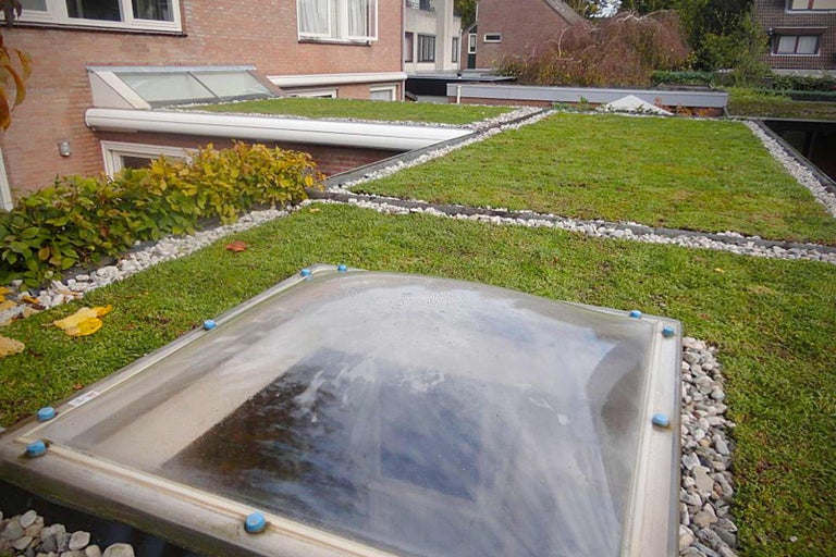 Zelená střecha se střešním oknem a štěrkovými pásy pro odvodnění.