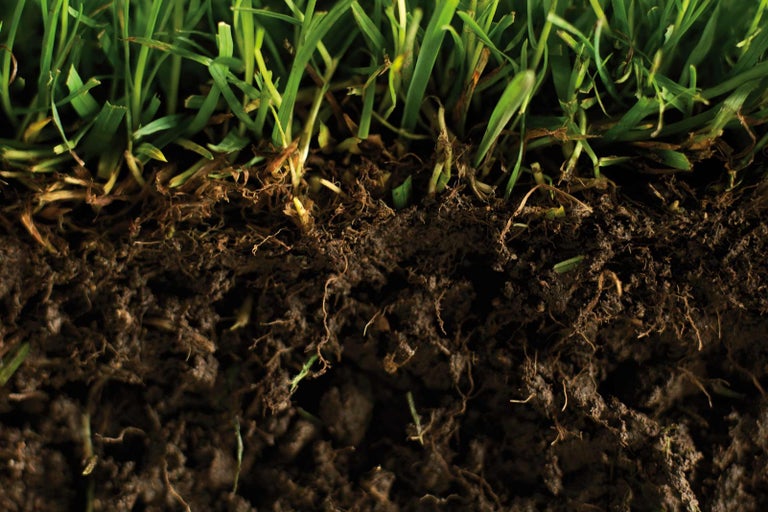 Detailní záběr travních drnů s trávou a hlínou