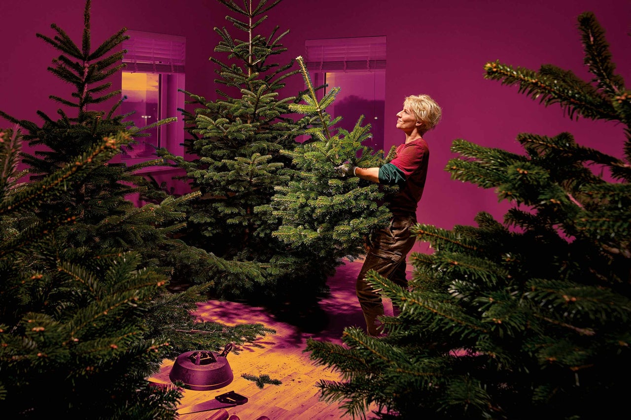 Uvodní obrázek - Žena držící vánoční strom