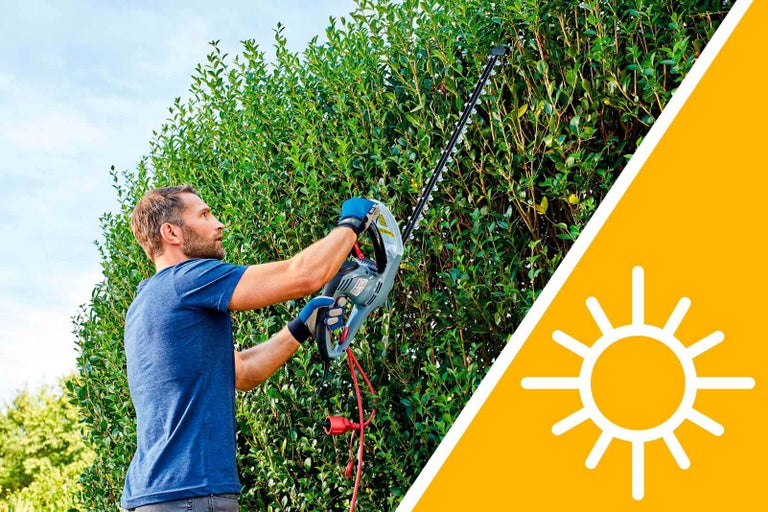 Muž stříhá živý plot nůžkami na živý plot