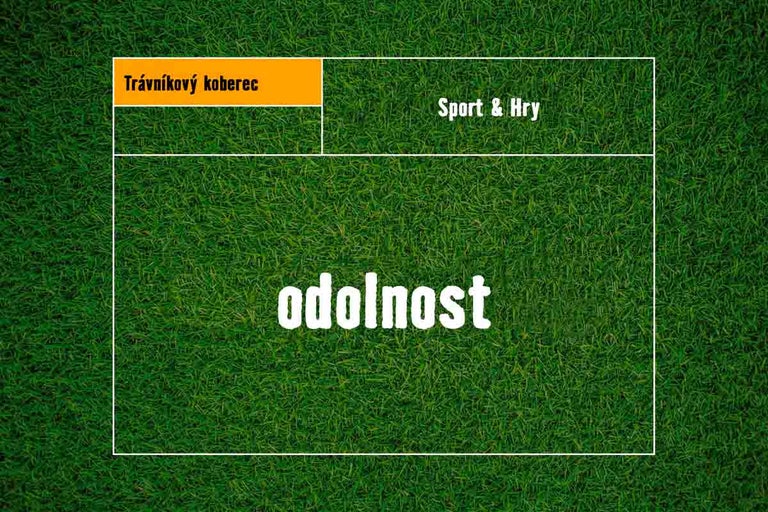 Grafika na téma travní koberec, sport a hry a odolnost.