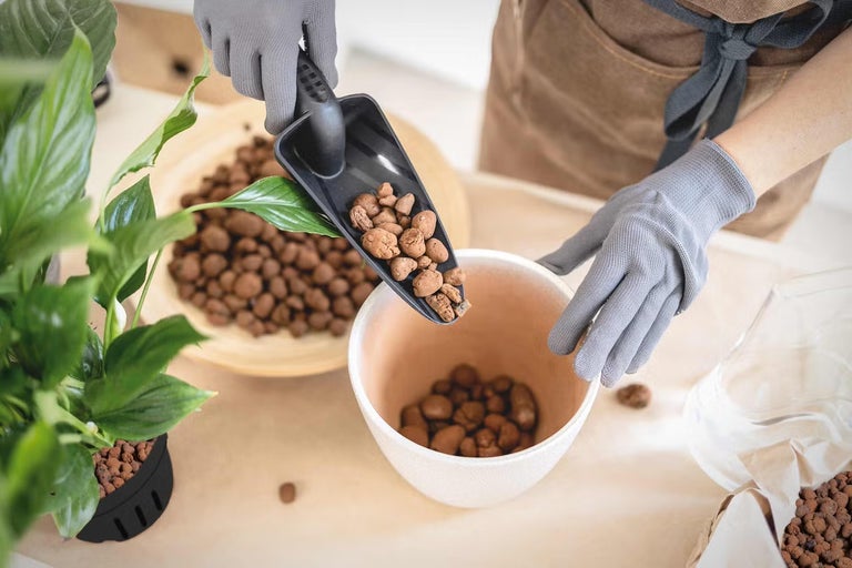 Jak začít s hydroponií? Vypěstujte si zeleninu a bylinky ve vodě