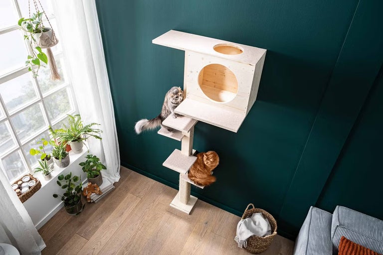 Jak vyrobit škrabadlo pro kočku