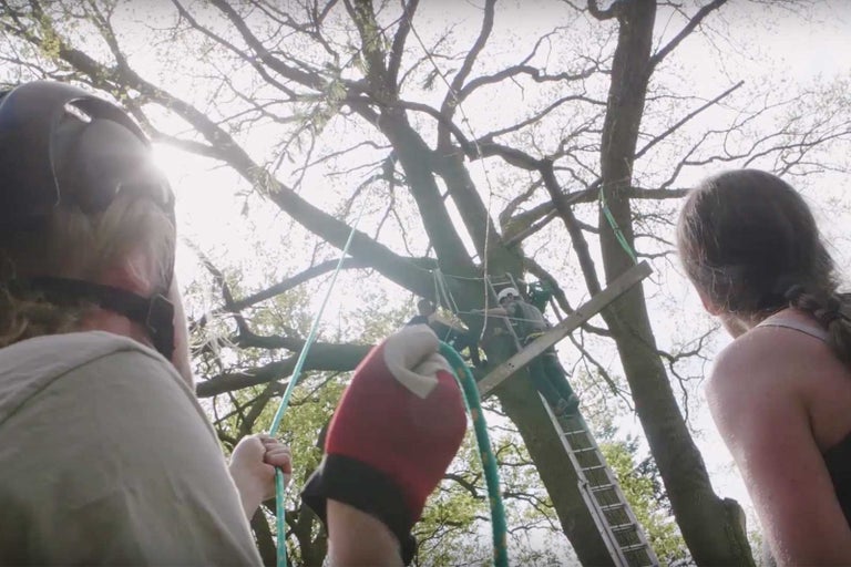 Lidé instalují stromový dům s žebříkem a lanem na stromě.