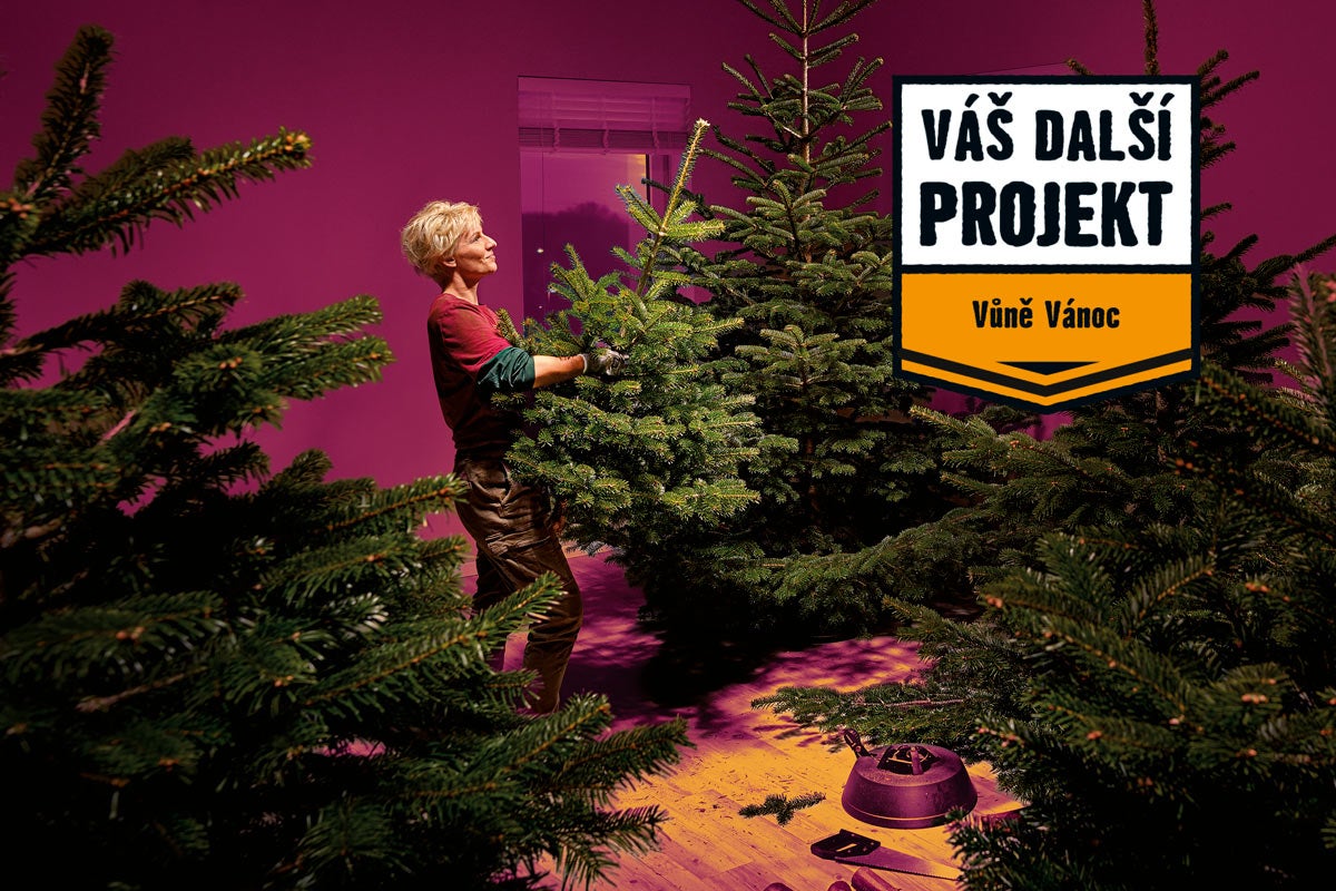 Žena nese vánoční stromek v místnosti s vánočními stromky a stojanem na vánoční stromek, projekt: vůně Vánoc