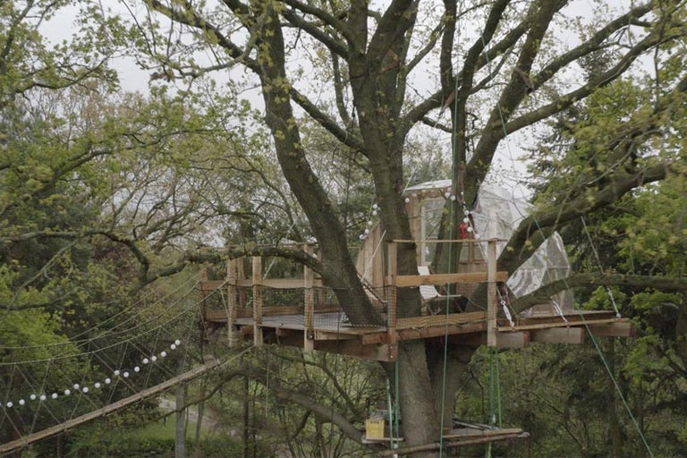 Dům na stromě s dřevěnou terasou, visutým mostem a osvětlením v zahradě