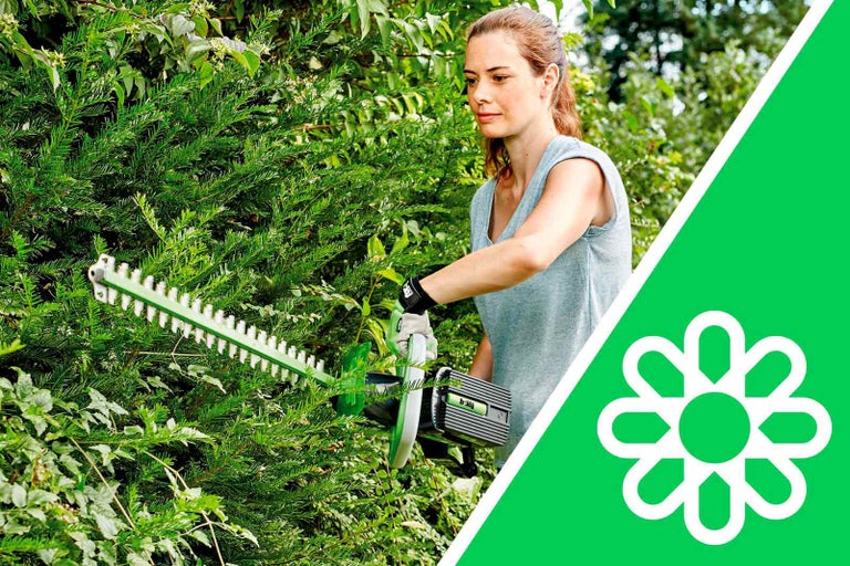 Žena stříhá živý plot nůžkami na živý plot