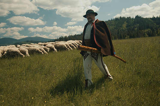 Pastýř se svým stádem na zelené louce.