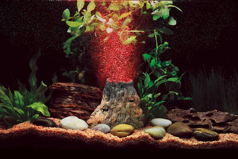 3 tipy pro akvarijní techniku, která zpříjemní život vám i rybičkám