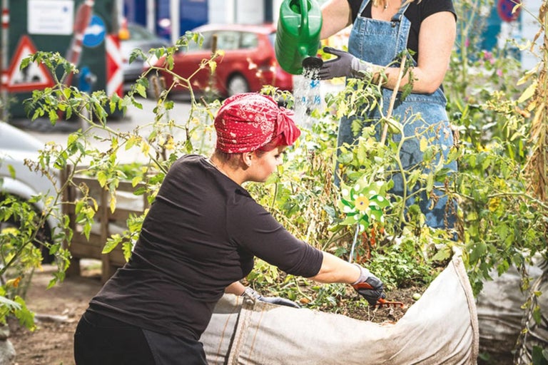 Dvě ženy zalévají a sázejí vyvýšený záhon v městském zahradnictví