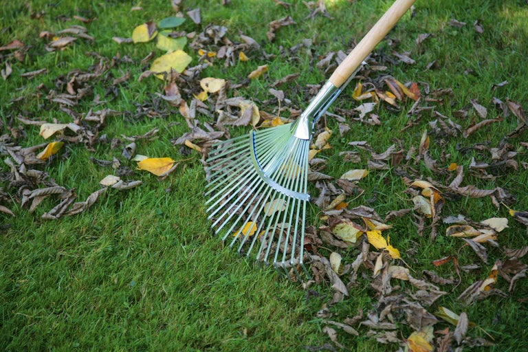 Hrabě na listí s dřevěnou násadou na trávníku s listím