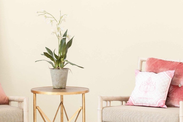 Dekorativní aranžmá s orchidejí v květináči a sedacím nábytkem