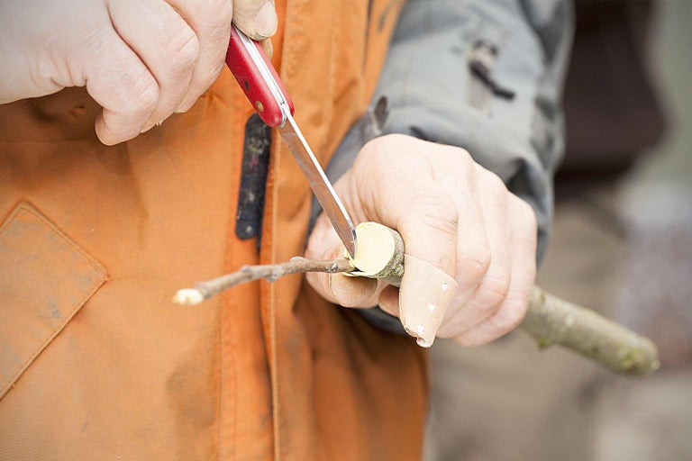 Osoba vyřezává dřevěnou tyč kapesním nožem.