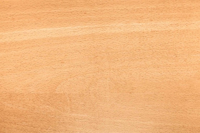 Textura bukového dřeva