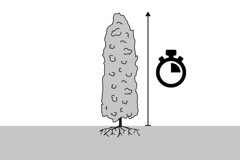 Zobrazení rostliny s výškou a potřebným časem