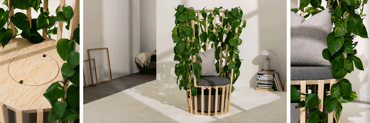 Dekorativní židle s polštářem a rostlinami