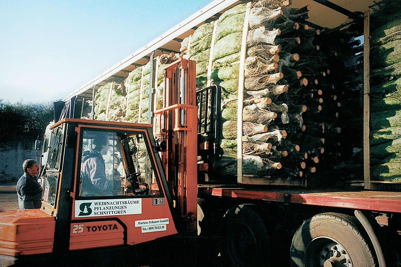 Vysokozdvižný vozík nakládá balené vánoční stromky na nákladní auto