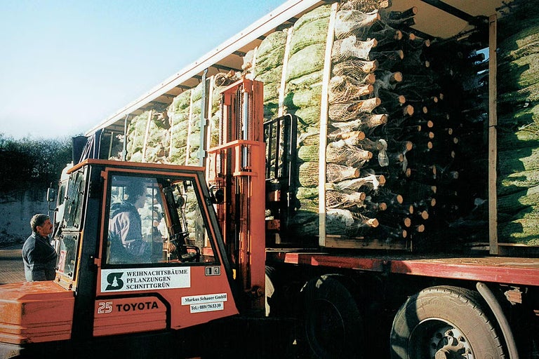 Vysokozdvižný vozík nakládá balené vánoční stromky na nákladní auto
