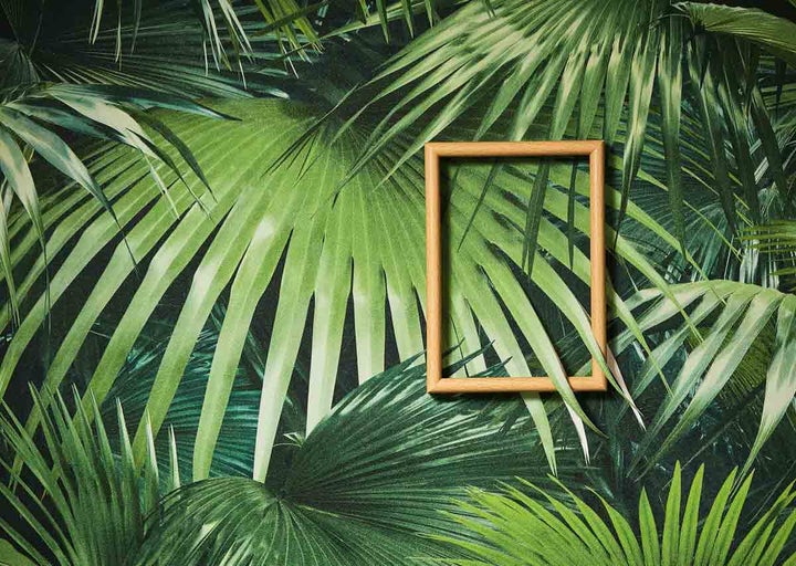Dekorativní rám před tapetou s motivem palmových listů