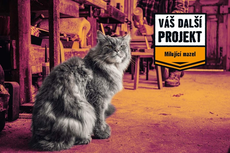 Láska, která štěká, mňouká, zpívá i šplouchá