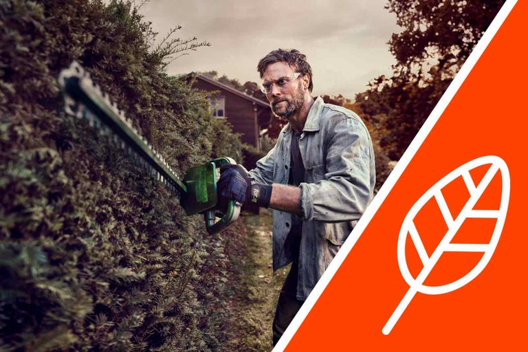 Muž stříhá živý plot nůžkami na živý plot