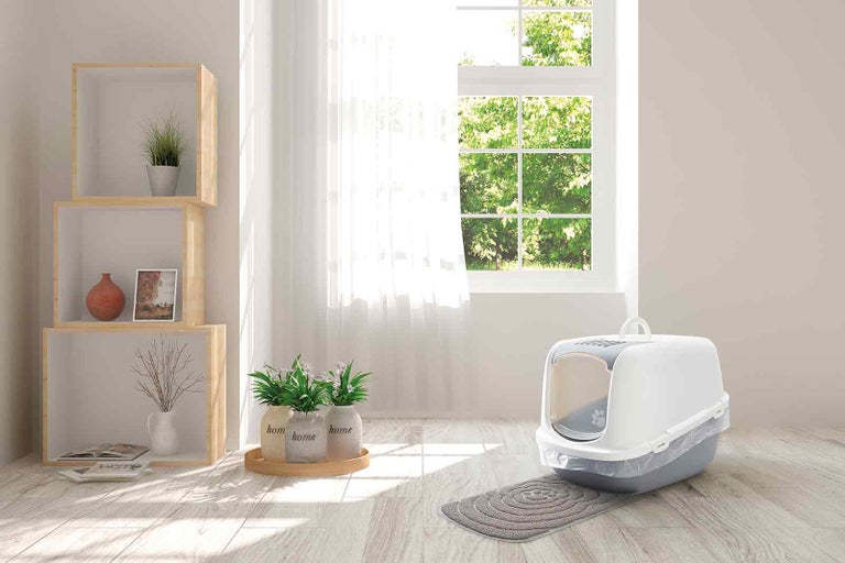 Kočičí toaleta s víkem a podložkou pod kočičí záchod v světlé místnosti