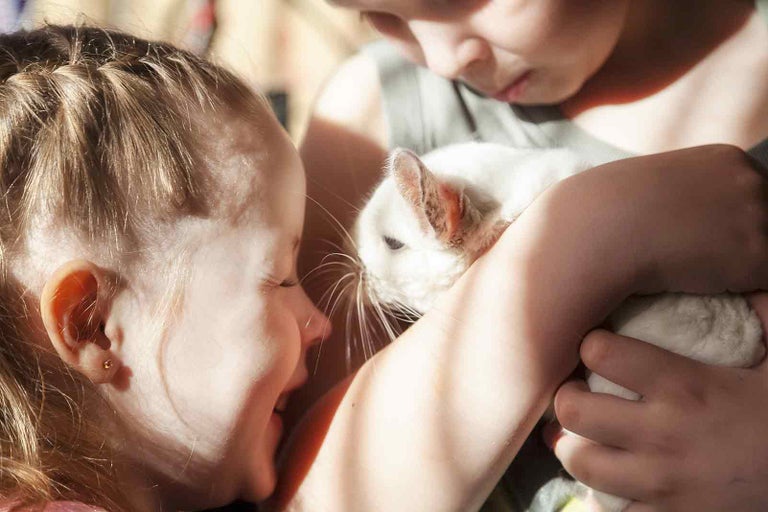 Dvě děti drží bílou činčilu