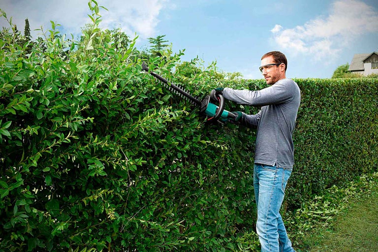 Muž stříhá živý plot nůžkami na živý plot