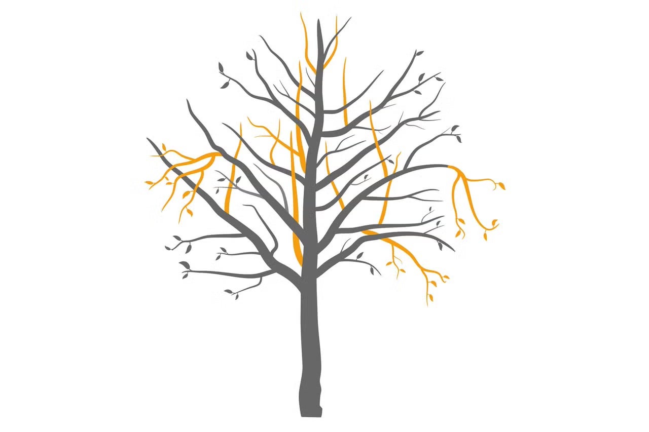 Samolepka na zeď strom s větvemi a listy