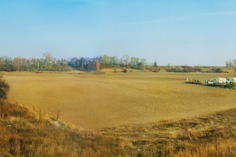 Krajina s polem a stromy