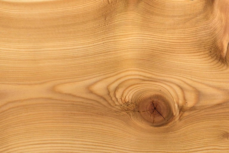 Detail dřevěného povrchu se sukem