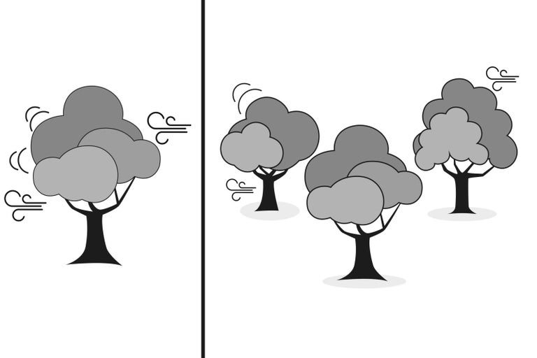 Ilustrace stromů ve větru
