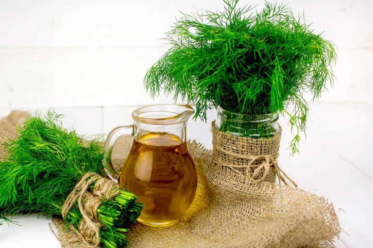 Zátiší s koprem, olejem v karafě a jutovou stuhou
